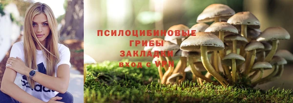 трава Абдулино