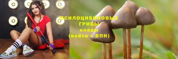 трава Абаза