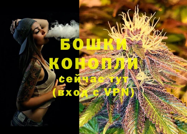 трава Абаза
