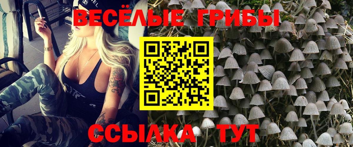 Псилоцибиновые грибы прущие грибы Ртищево