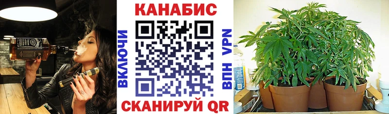 Бошки марихуана тримм  Ртищево 